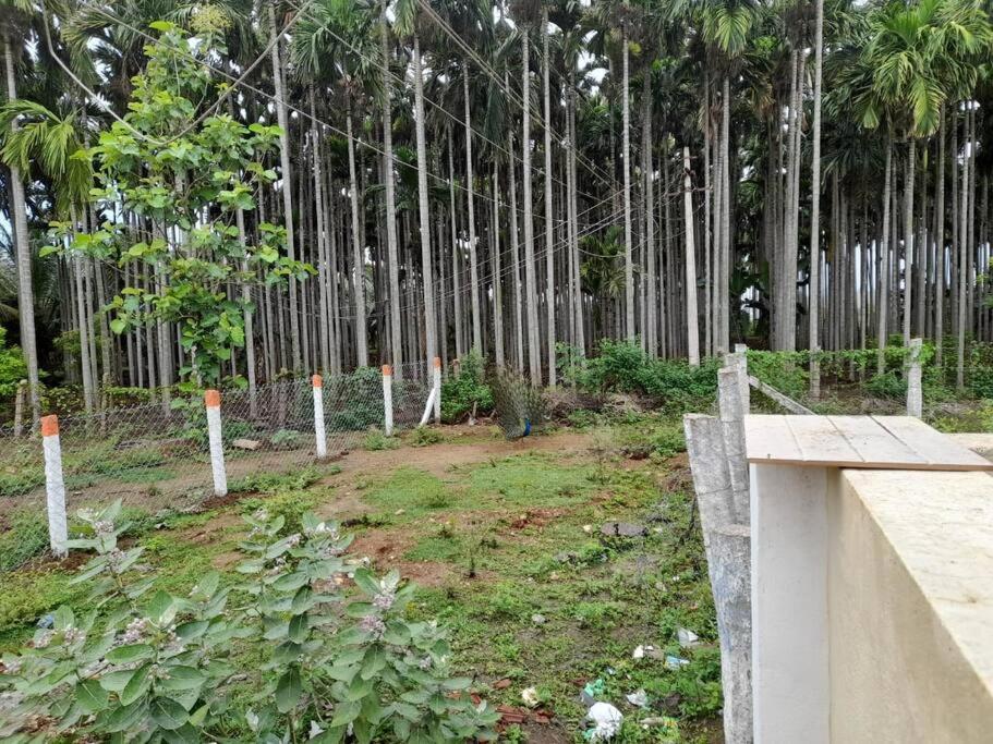 Shi'S Bhairavi Peaceful 2Bhk Villa - - On The Way 2 Isha-Adiyogi , Maruthamalai Коимбатур Экстерьер фото
